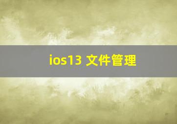 ios13 文件管理